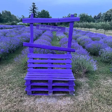 Bánhiday M4 Weekendhouse Apartman