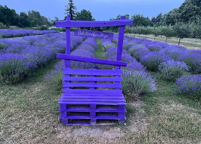 Banhiday M4 Weekendhouse Apartament